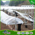 Custom wholesale import grade polyethylene film vegetable greenhouse